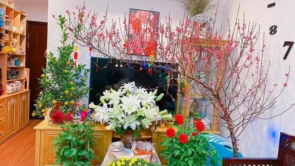 Cắm hoa tết đây là một phòng khách chứa đầy nhiều và thực vật