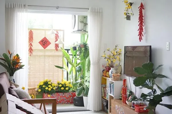 Có một cái nhìn của phòng khách với chiếc ghế dài bàn và cây chậu
