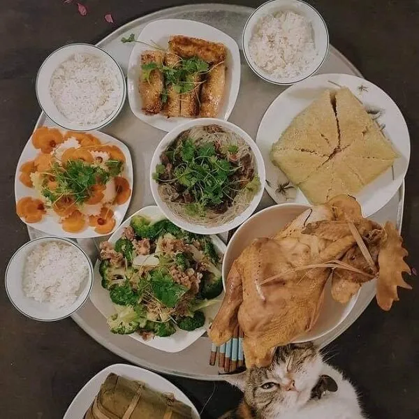 Có một con mèo ngồi trên sàn cạnh đĩa thức ăn