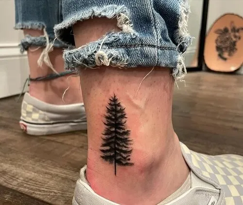 Có một hình xăm cây thông trên mắt cá chân