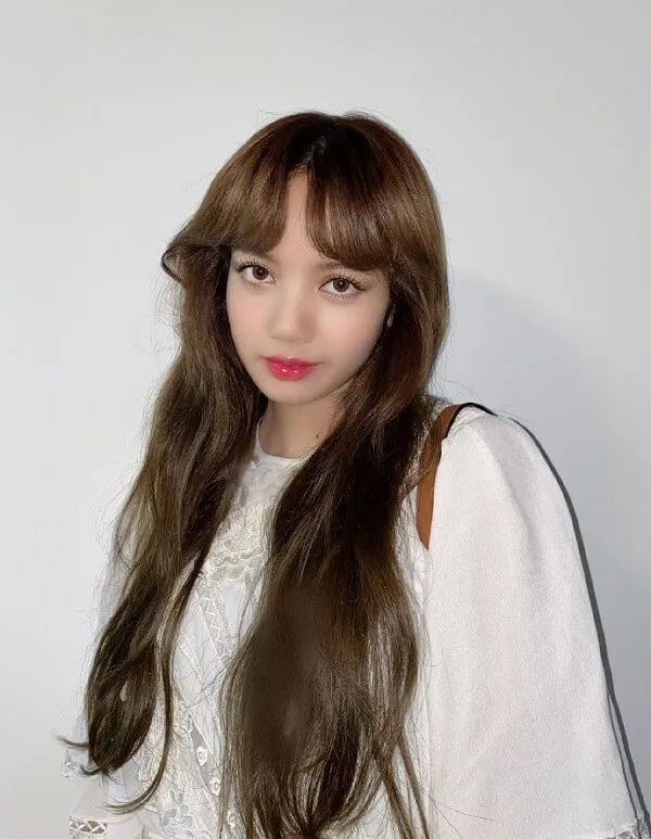Hình ảnh lisa có một người phụ nữ mái tóc nâu dài tạo dáng cho bức tranh