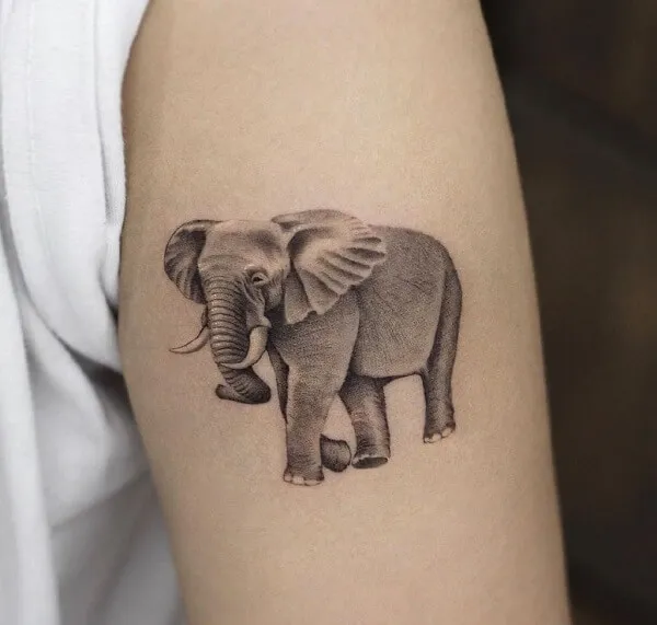 Có một hình xăm của con voi trên cánh tay