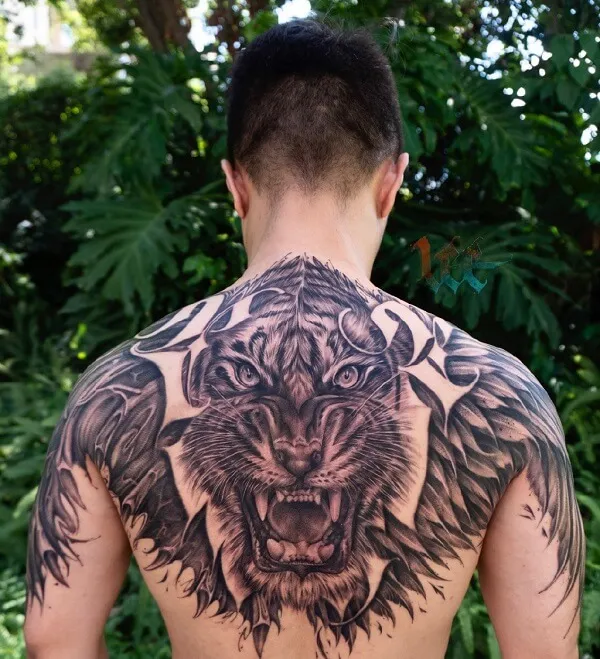 Có một người đàn ông hình xăm của con sư tử trên lưng