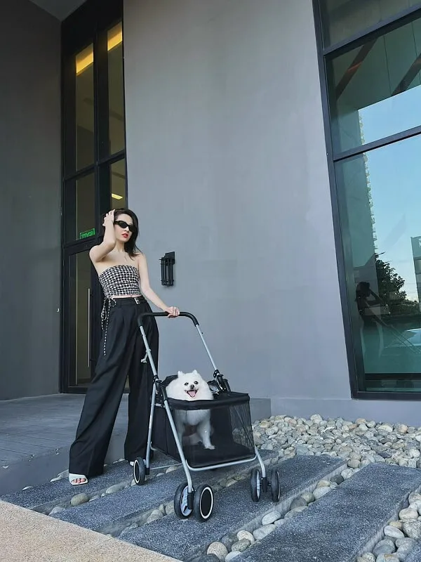 Bảo anh ca sĩ có một người phụ nữ đẩy xe với con chó trong đó