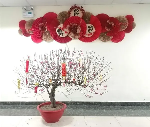 Đây là hình ảnh của một cây cảnh được trang trí với quạt giấy đỏ